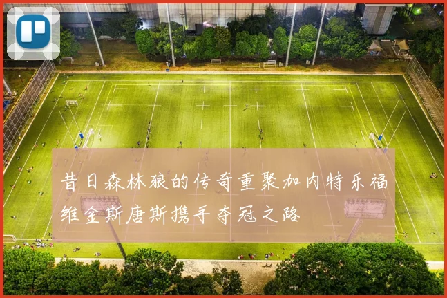昔日森林狼的传奇重聚加内特乐福维金斯唐斯携手夺冠之路