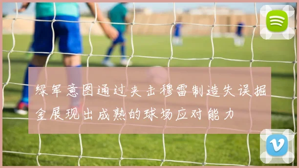 绿军意图通过夹击穆雷制造失误掘金展现出成熟的球场应对能力